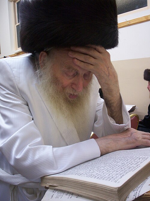 Naftali Tzvi Labin of Ziditshov